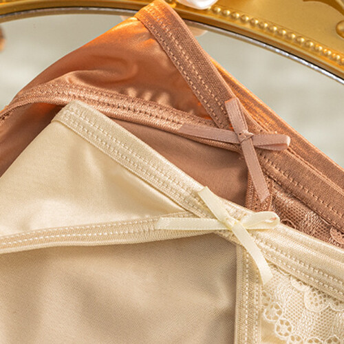 5PCS/LOT Sexy Womens Satin Panties Briefs Low Waist Ladies Underwear Lingeries