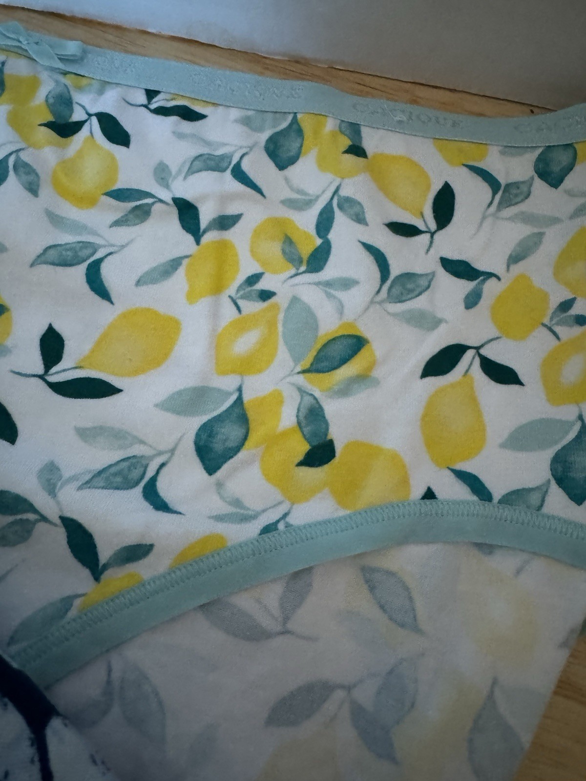 Lane Bryant 18-20 Cacique Cotton High Leg Brief Panty 6 Pair NEW no tags #405