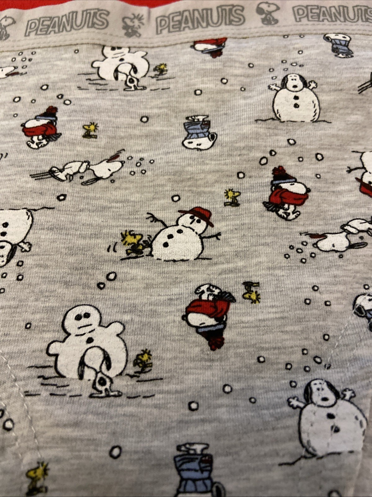 Peanuts Assorted 5 Pack Cotton Blend Bikini Panties / $62 /LARGE