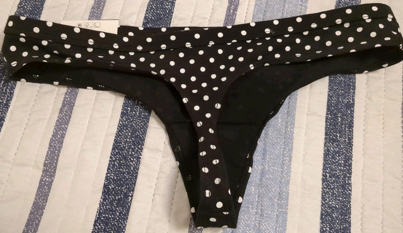 NWT Women’s Size Medium Thong Panties Polka Dot No Boundaries Cotton Spandex