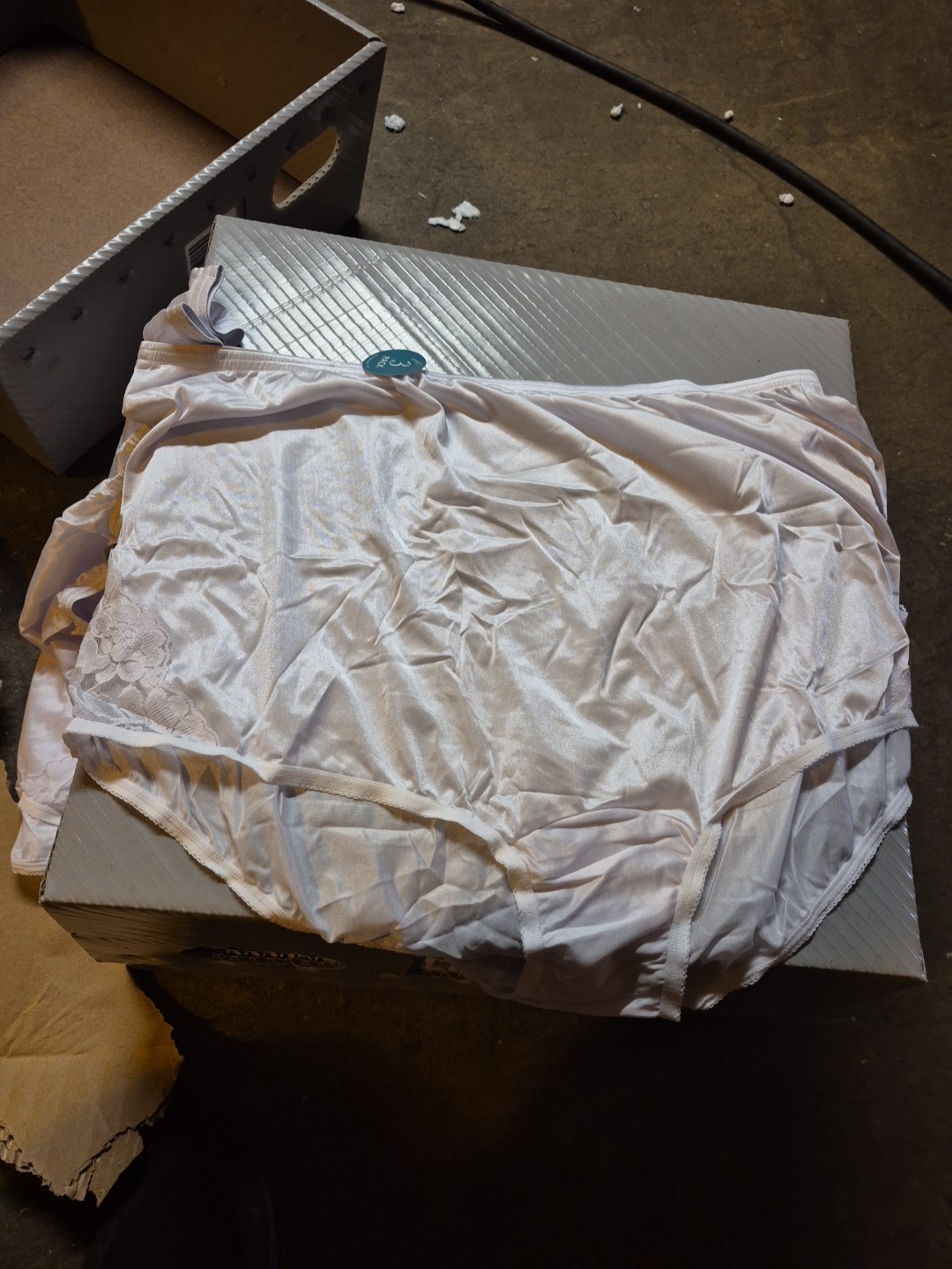6 Pairs Of Vaniry Fair 10/3xl Lavender Briefs (615)