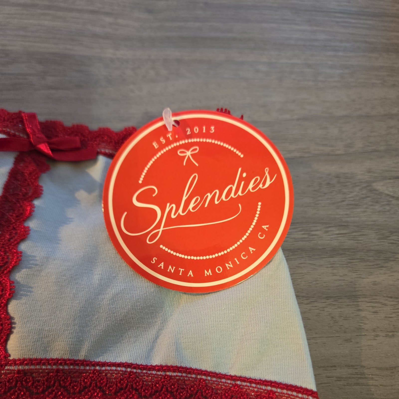 NWT Splendies Sz Large Panty