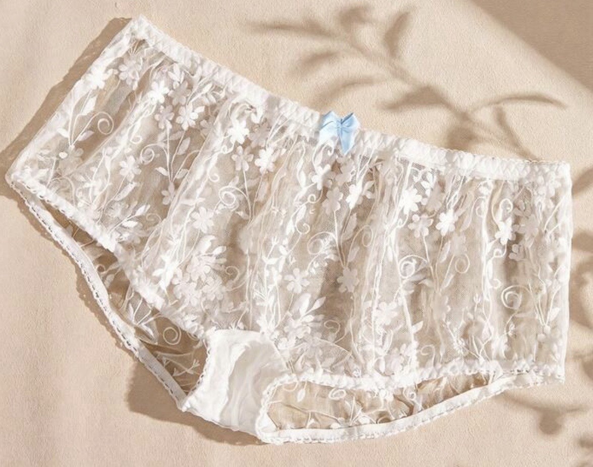 Bohemian Lace Sheer White Brief Panties Knickers L NEW Sissy