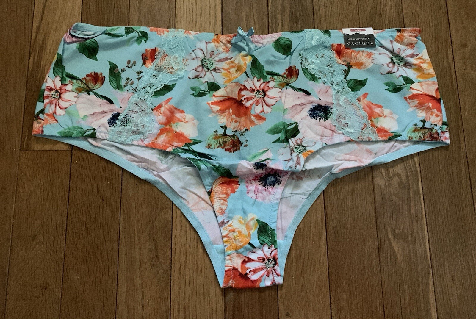 Plus Size 18/20 Lane Bryant Cacique Mid Waist Cheeky Panty Spring Blue Pink Lace