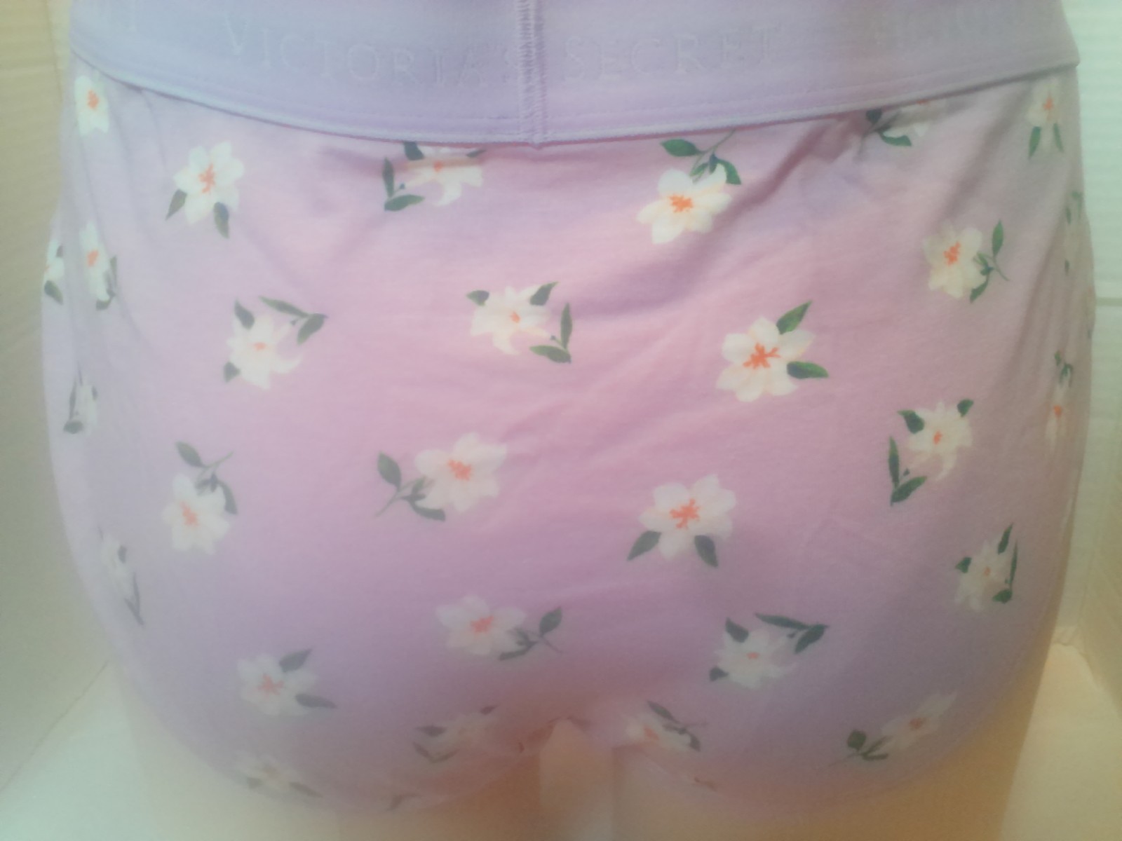 NWT. Victoria’s Secret Hipster Pink Daisy Tagless XL