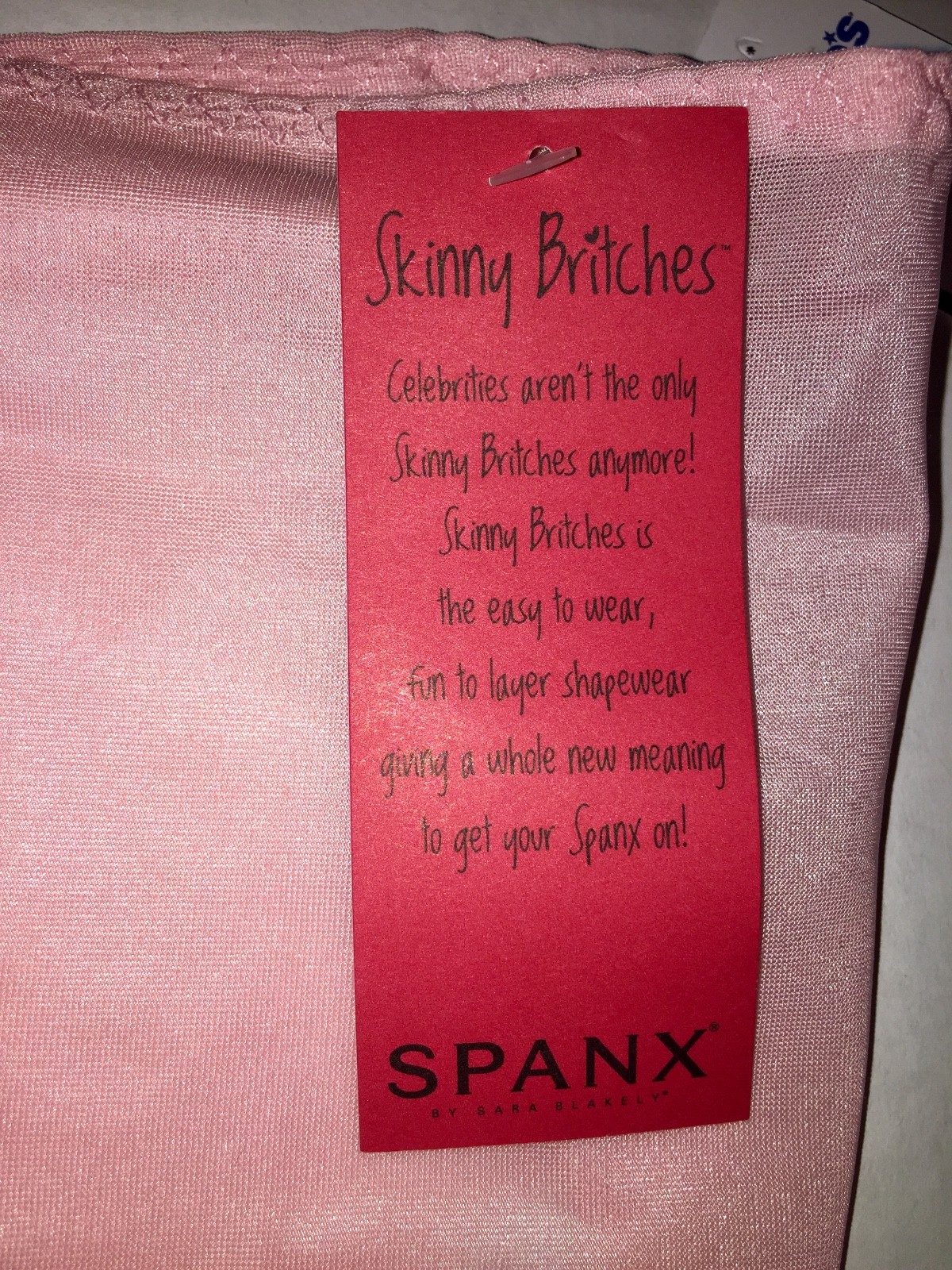 Spanx Hipster Panty Skinny Britches Sheer Smoothing Shaping Nude Pink Layers 902