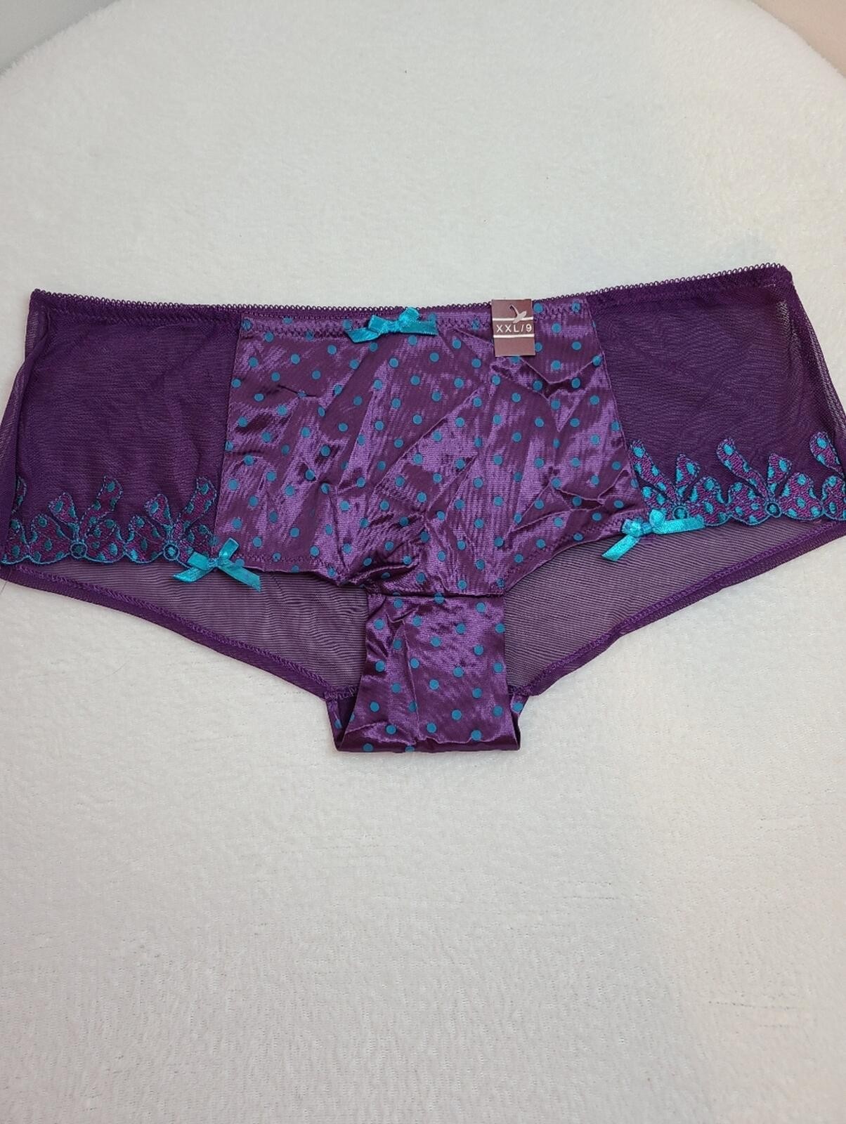 Vintage Y2K Silky Satin Second Skin & Embroidered Mesh Hipster Panty Size XXL