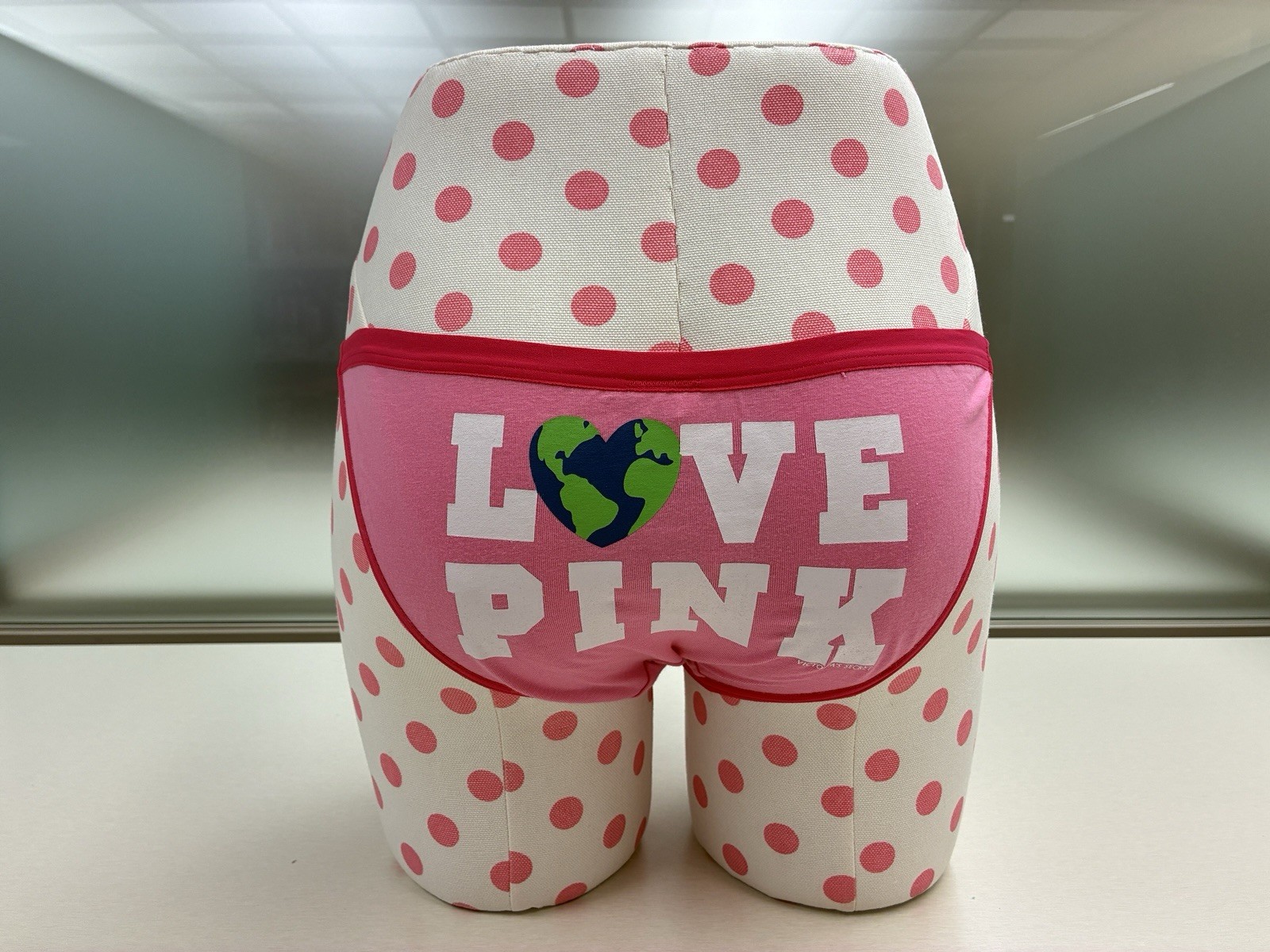 Victoria’s Secret 2009 LOVE PINK Bikini Panty Small S NWT discontinued rare