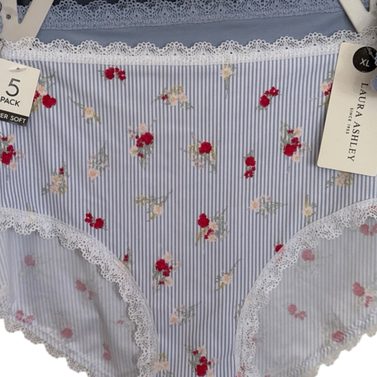 Laura Ashley Soft Scalloped Lace Stretchy Hiphugger Panty XL Blue Floral 5pc