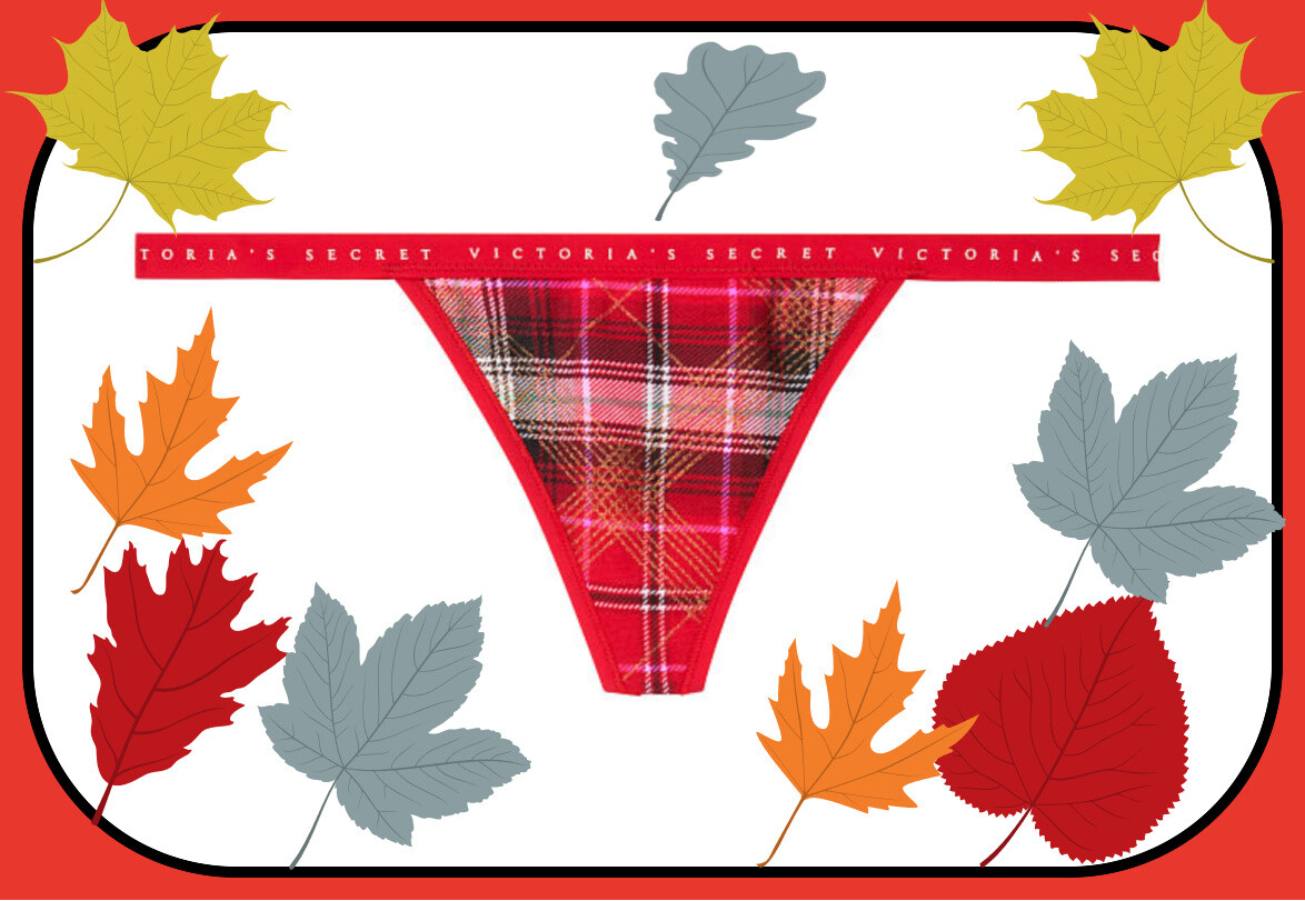 Large Red GOLD Glitter Plaid V-String LOGO Victorias Secret Thong Holiday Pantie