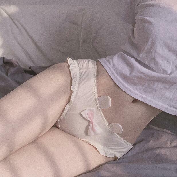Sweet Japanese Cute Panties Bow Underwear Briefs Low Waist Mori Girls Panties