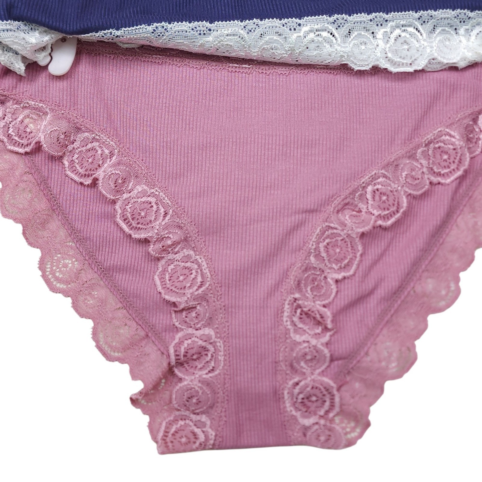 Laura Ashley Womens 7-Pack XL Lace Trim Panties Super Soft Rayon Blend Pink Blue