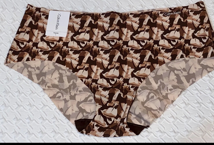 CALVIN KLEIN Invisibles Hipster Panty “Left Behind Umber” Size Medium #D3508 NWT