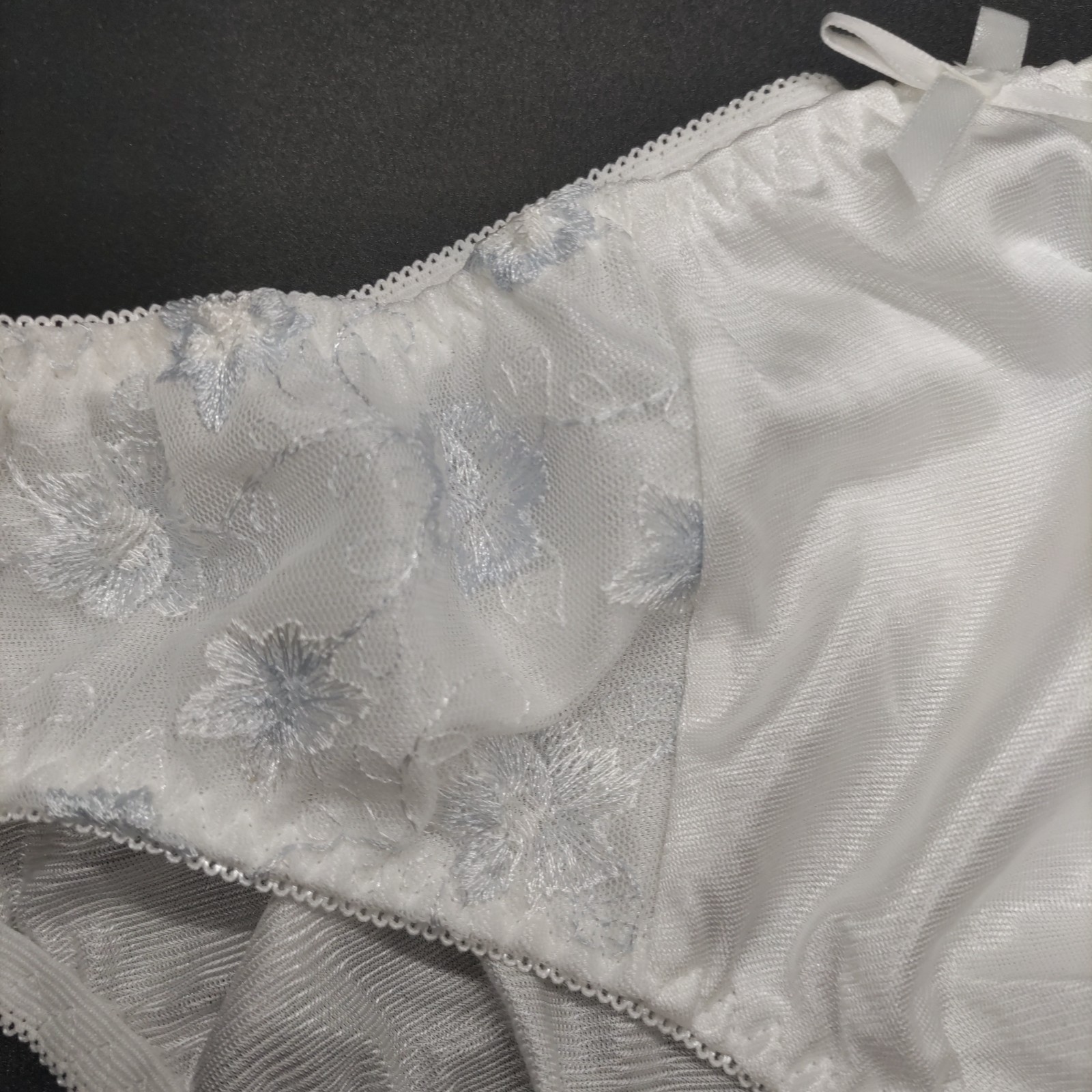 US SIZE 2XL SHINY NYLON TRICOT PANTIES from Japan