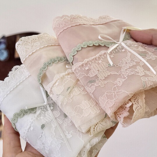 5 Pack Lot Sexy Womens Sheer See Through Panties Underwear Lace Lingeries Briefs