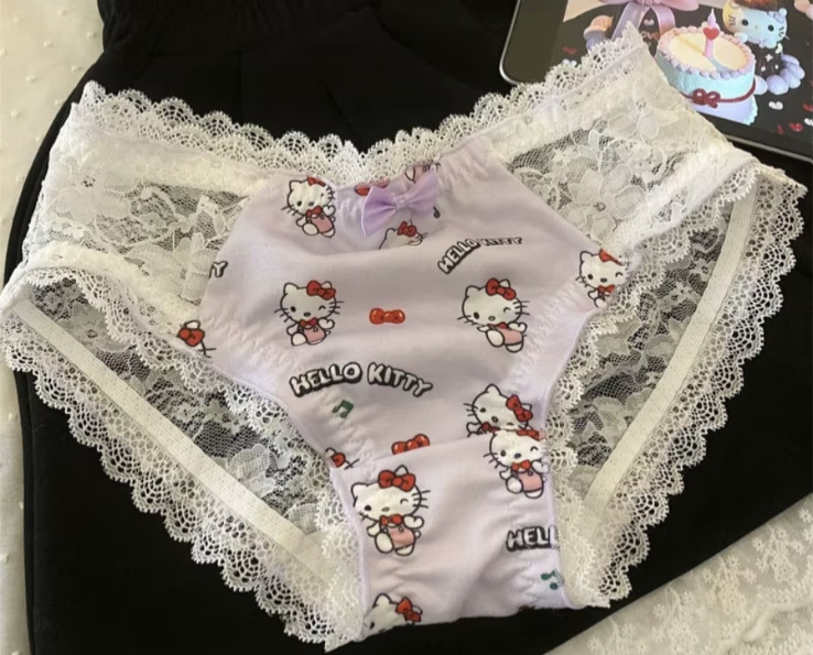 Sanrio Women’s Hello Kitty Cute KT Cat Design Cartoon Bikini Brief Panty M/L