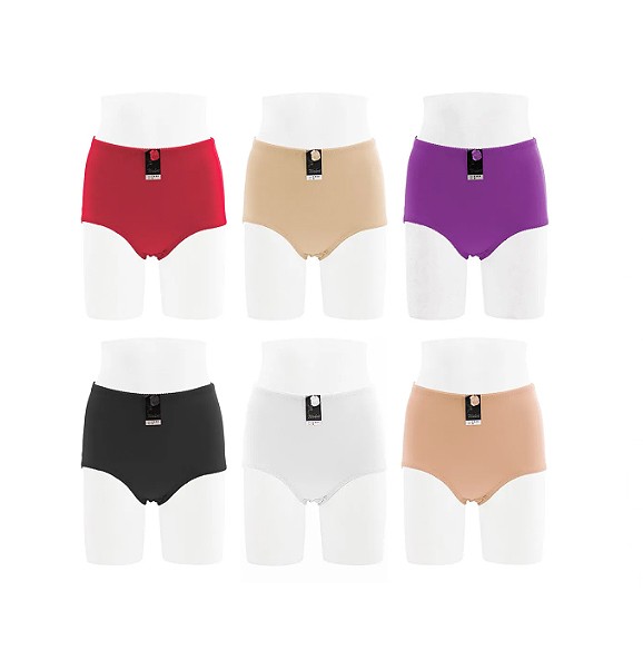 Women’s Elastic Waist Girdle Multicolor 12 Pack of Solid Stretch Plain Briefs