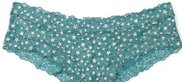 S XXL Sage Green Gold Foil Star ALL LACE THE LACIE Victorias Secret CHEEKY Panty