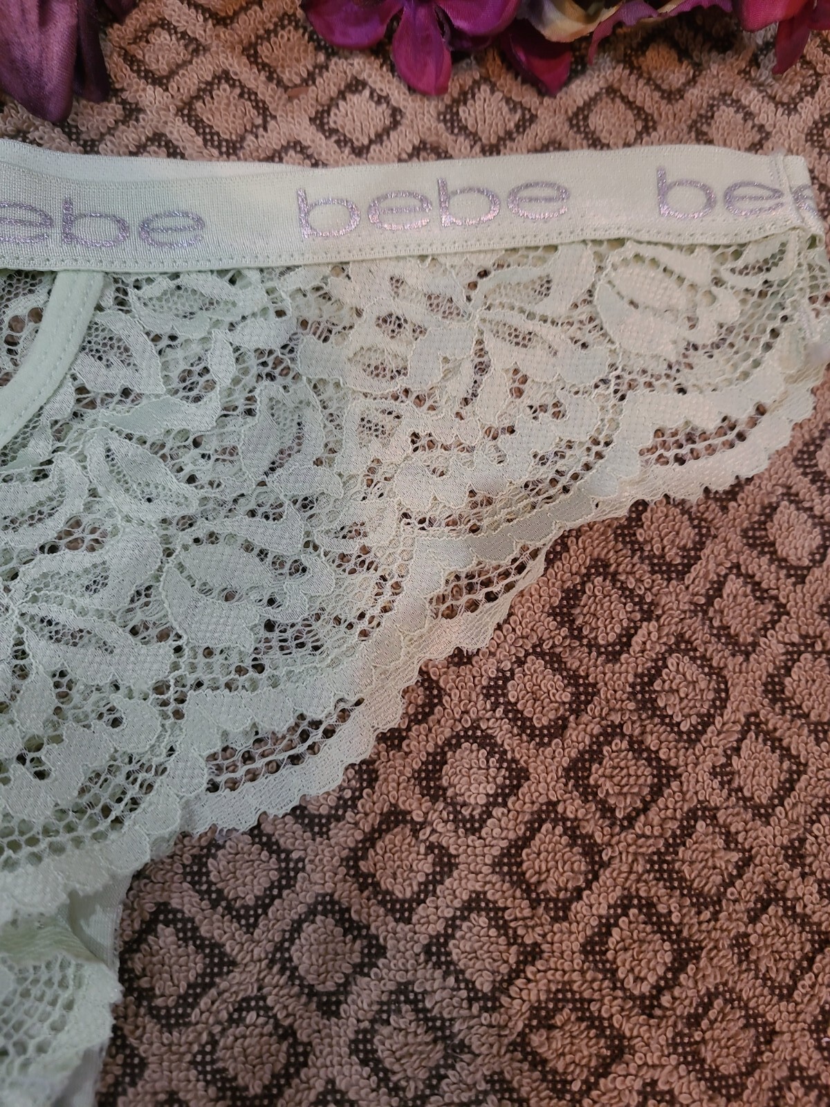 BEBE LOGO Sexy Sheer Lace SeXY Green Lace Cheeky Tanga Panties L/7 nwot