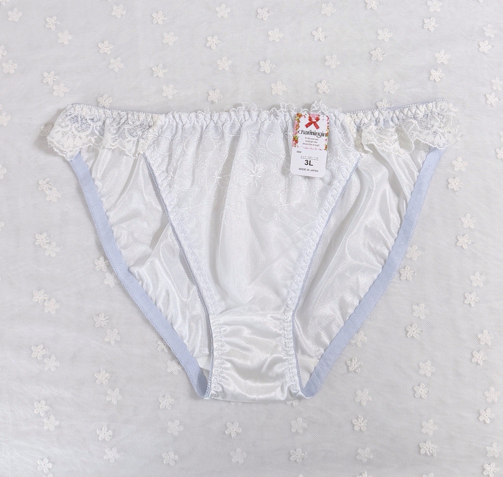 Set Of 6 US-L/JP-3L Japanese Embroidery Bikini Glossy Tricot Nylon Panties