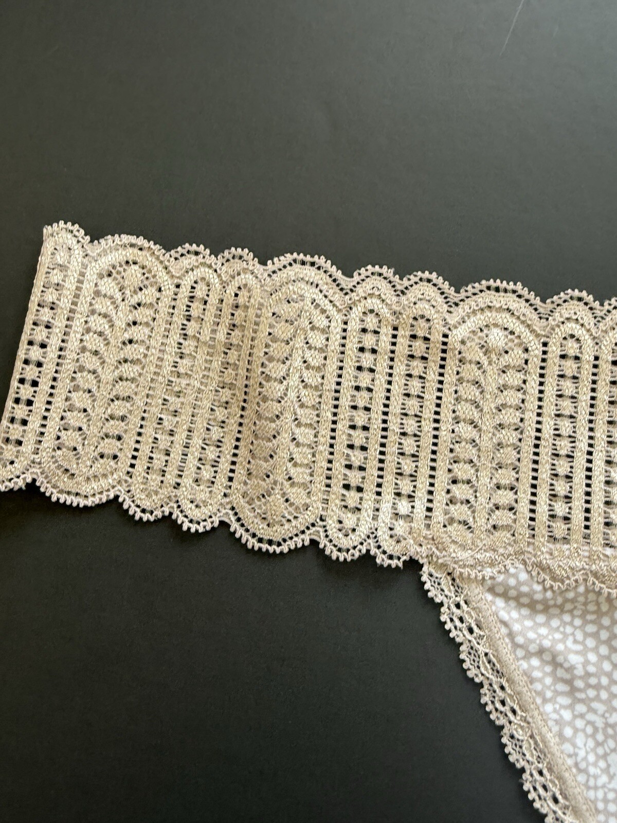 Maidenform Luxurious Lace Thong Panty Romantic Blush Bloom Size XL 8 NWT