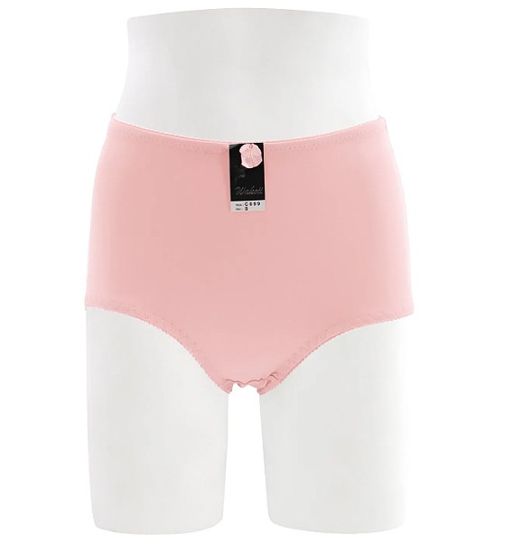 Women’s Elastic Waist Girdle Multicolor 12 Pack of Solid Stretch Plain Briefs