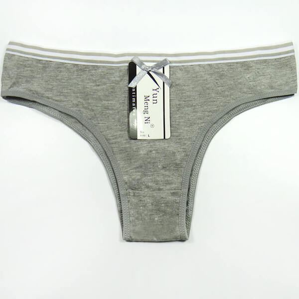 6 x Womens Sheer Spandex / Cotton Briefs – Assorted Colours Underwear Undies