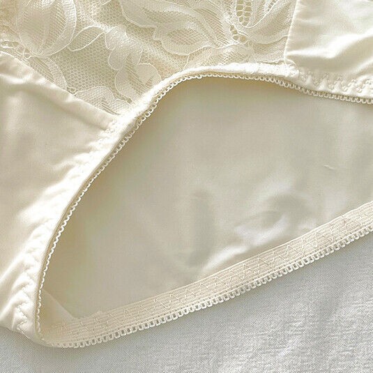 6 Pack Lot Sexy Ladies Womens Panties Briefs Ice Silky Lace Underwear Intimates
