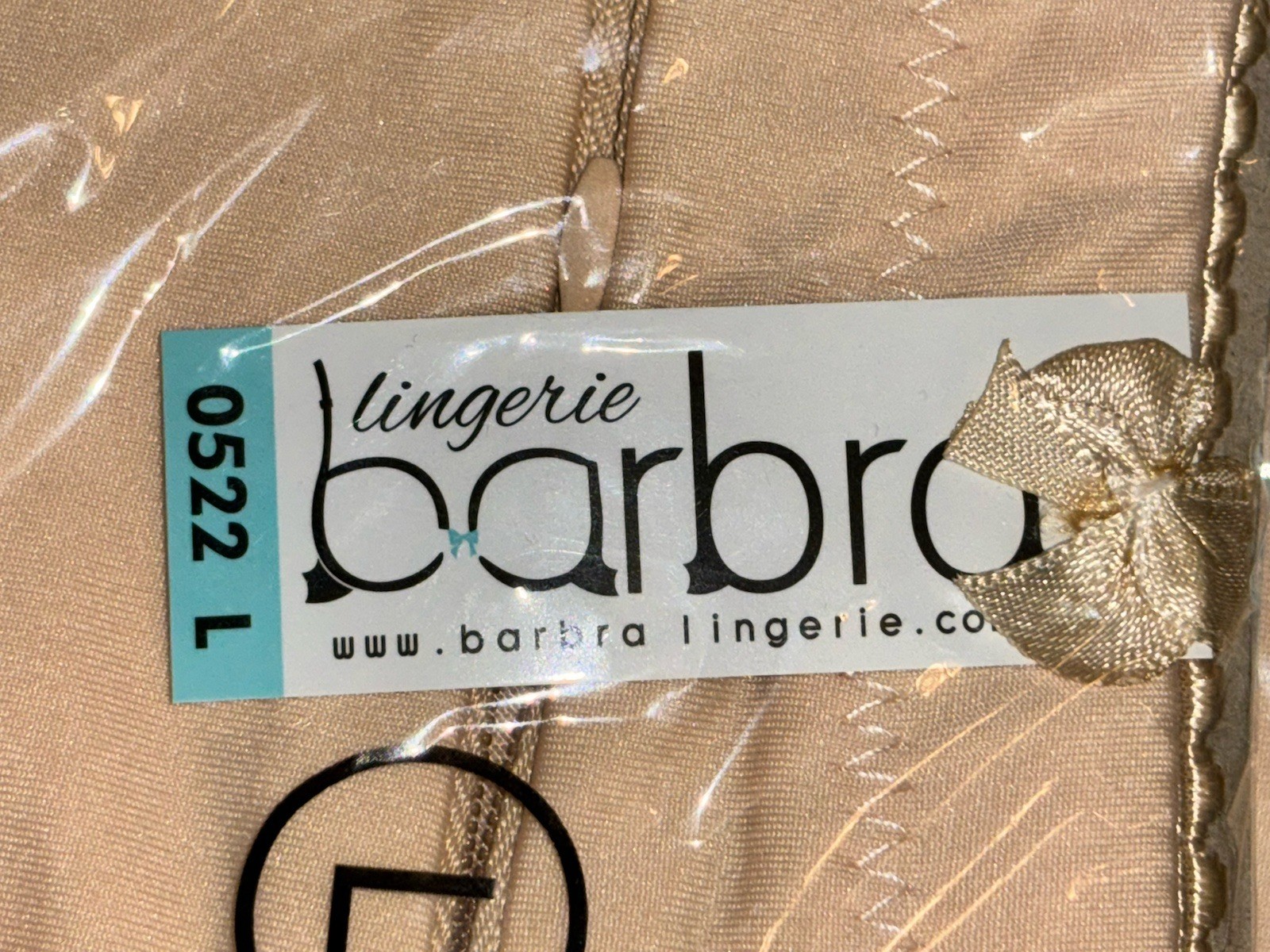 Barbra’s Women’s Travel Pocket Underwear Girdle Brief Panties Sz L Beige 2 Pair