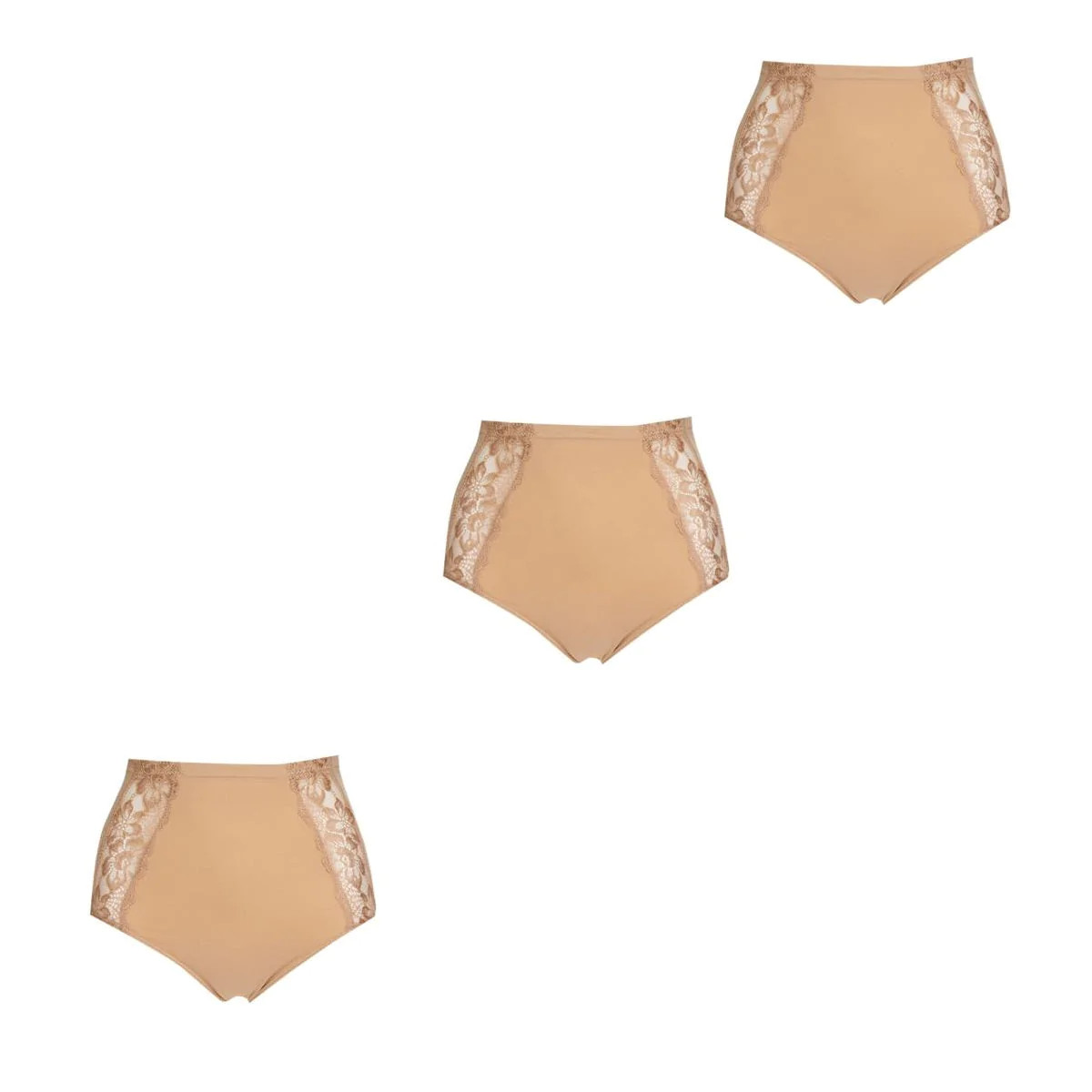 Rhonda Shear Seamless Lace Brief 3-pack 605377-J