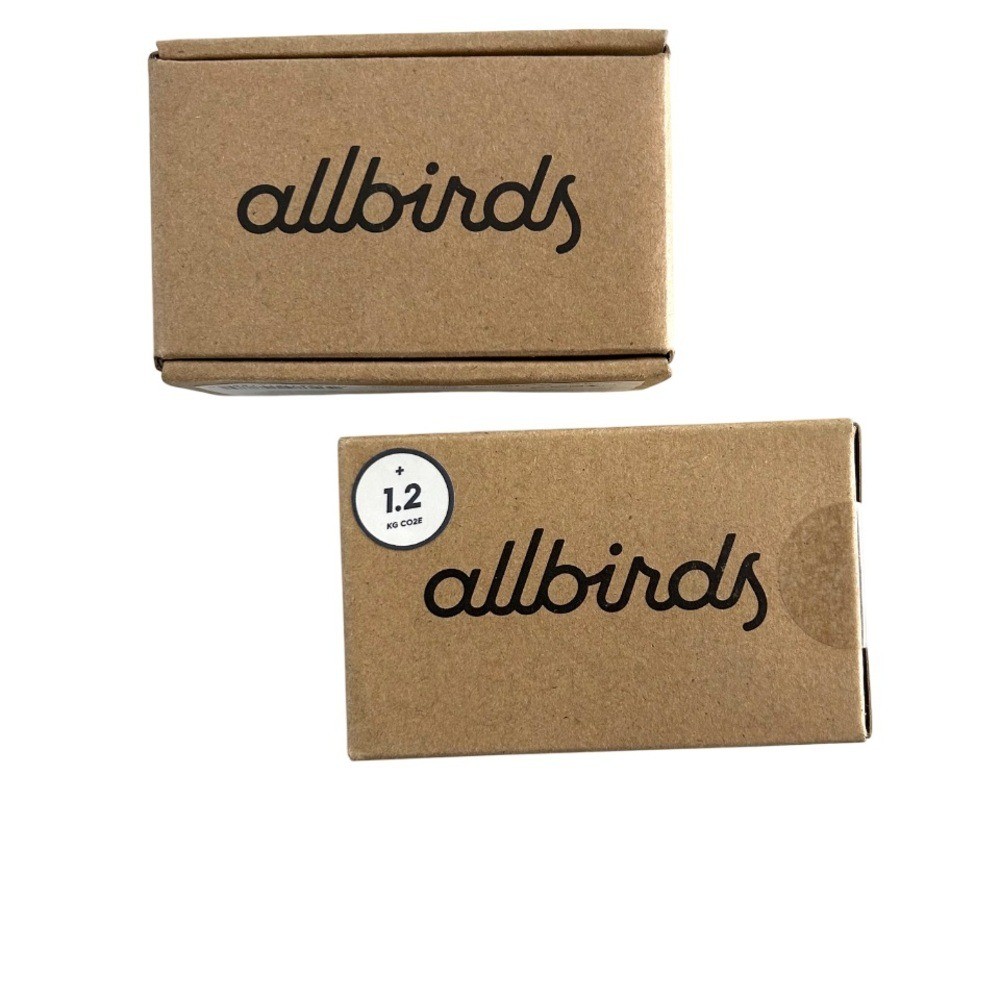 Allbirds Women’s Thong Underwear set of two 2X grey wheat lyocell Wool blend NEW