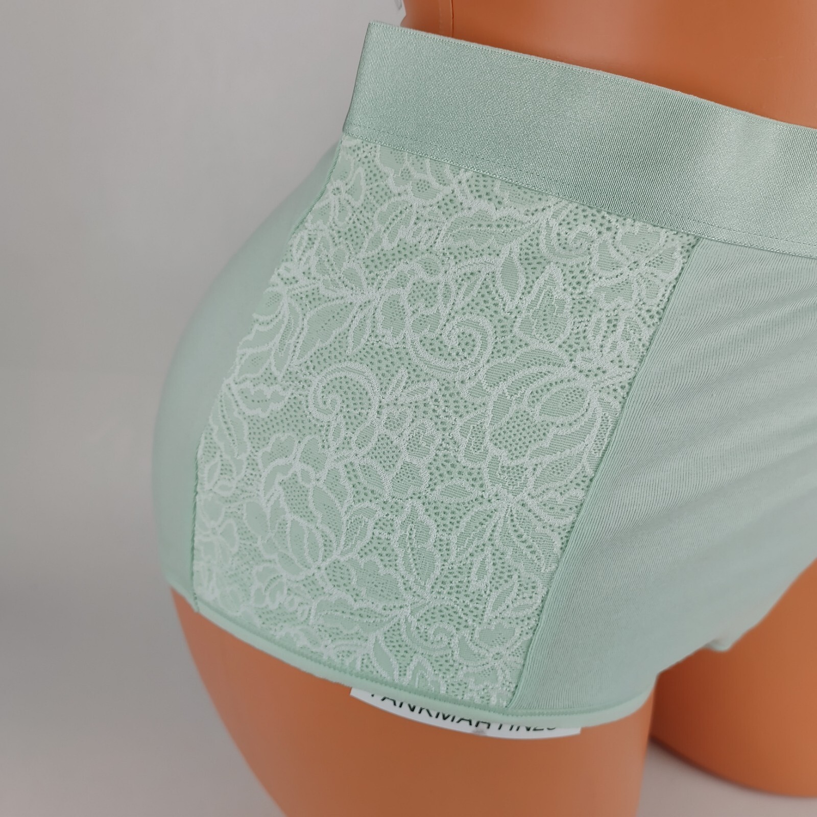 LANE BRYANT CACIQUE PLUS COTTON FULL BRIEF 18/20 PANTY PASTAL GREEN LACE HIPS