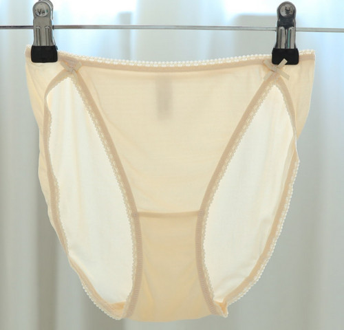 1 PC Silk Women’s Sexy Low Waist Panties Briefs Underwear Lingerie