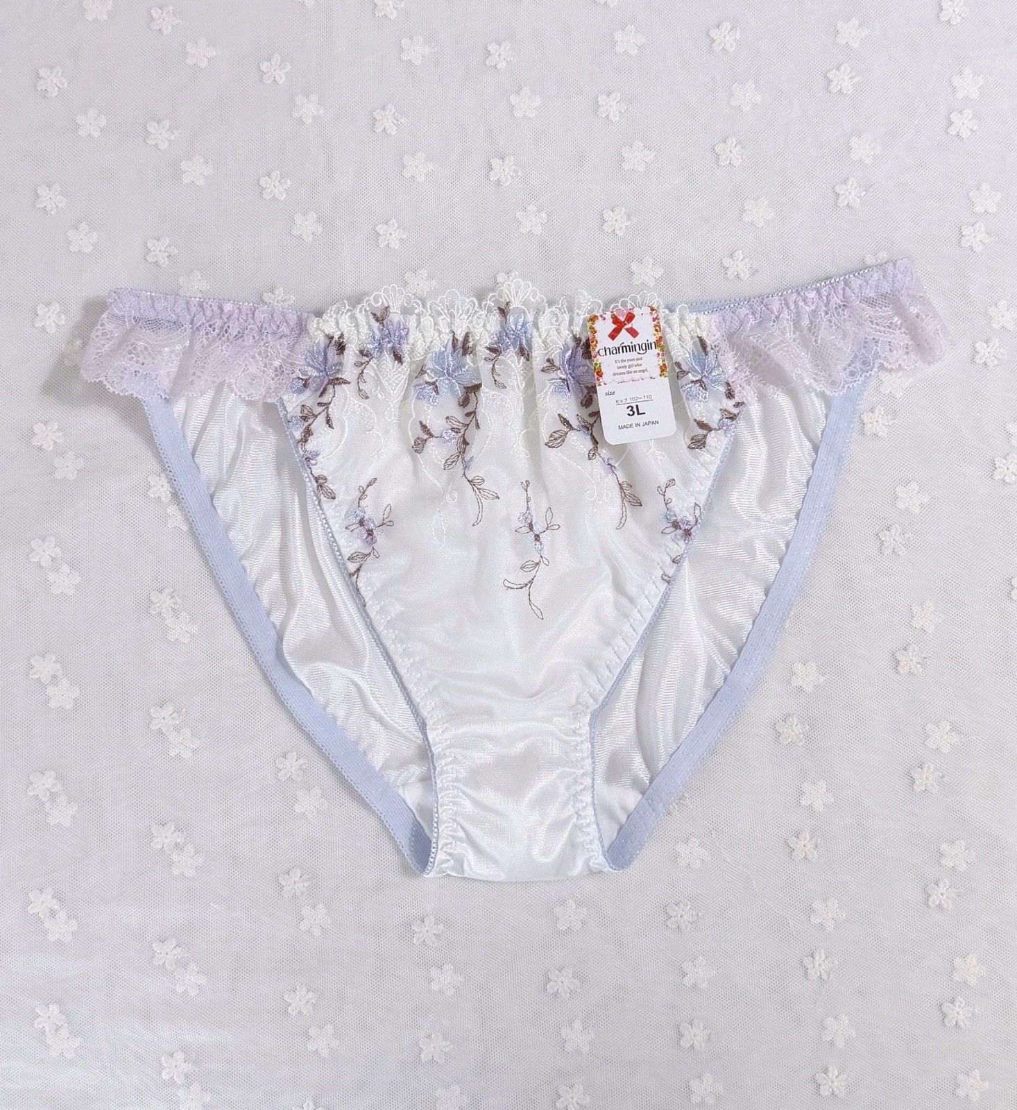 Set Of 6 US-L/JP-3L Japanese Embroidery Bikini Glossy Tricot Nylon Panties