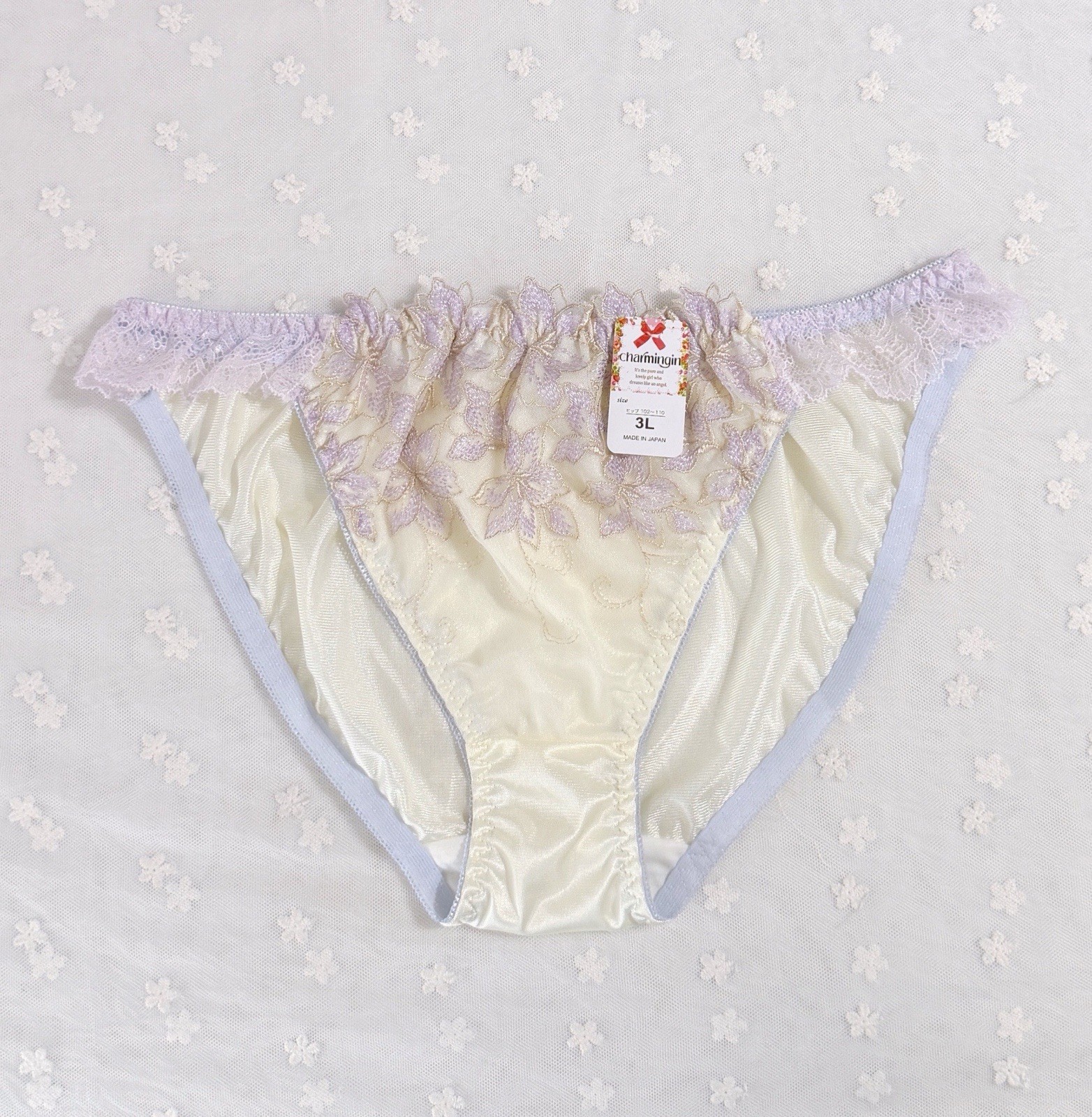Set Of 6 US-L/JP-3L Japanese Embroidery Bikini Glossy Tricot Nylon Panties