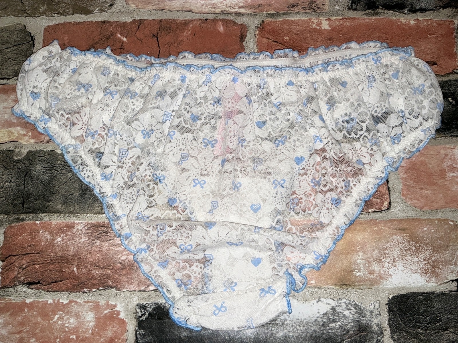 Victoria’s Secret Pink x LoveShackFancy Lace Bow Ruffle Cheeky Panties White L