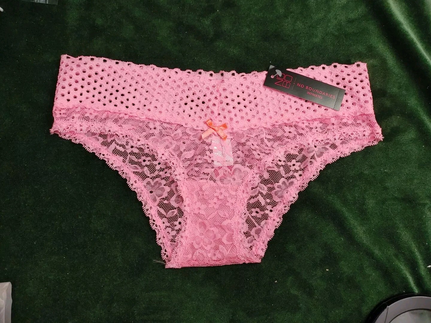 NWT No Boundries Lace Cheeky Cotton Candy Panties S