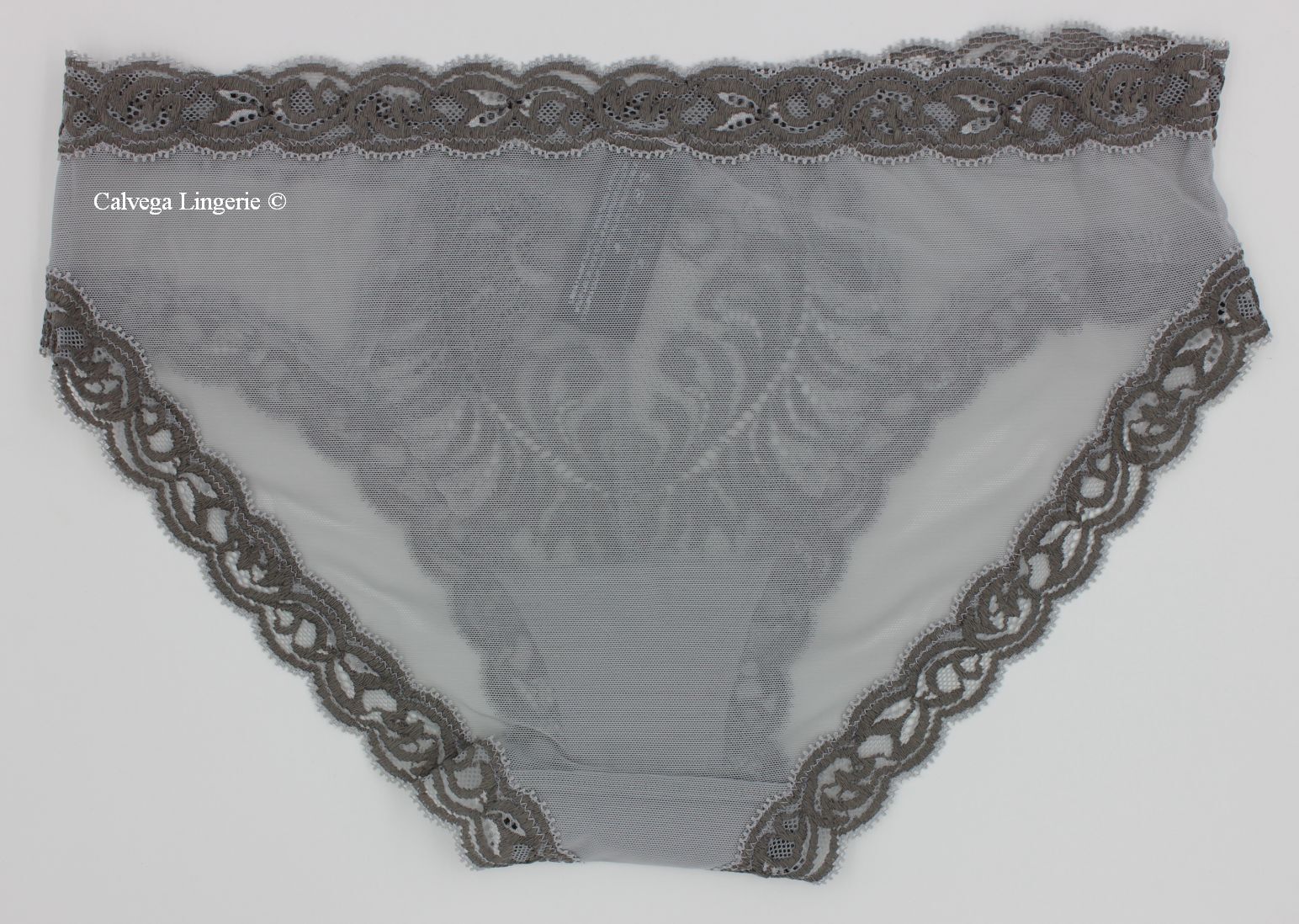 NWT NATORI 753023 “Feathers” Mesh w/Lace Hipster Panty, Gray (“Stone/Fog”)