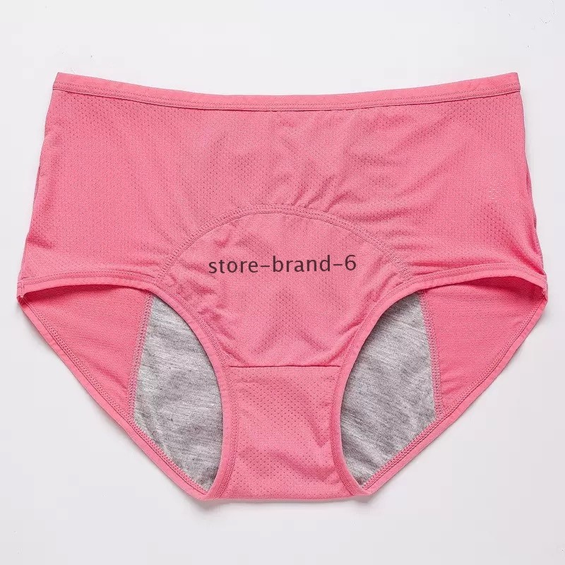Leakproof Discreet Proof Incontinence Pantie Underwear 6Pc Protective Leak Women