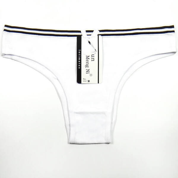 6 x Womens Sheer Spandex / Cotton Briefs – Assorted Colours Underwear Undies
