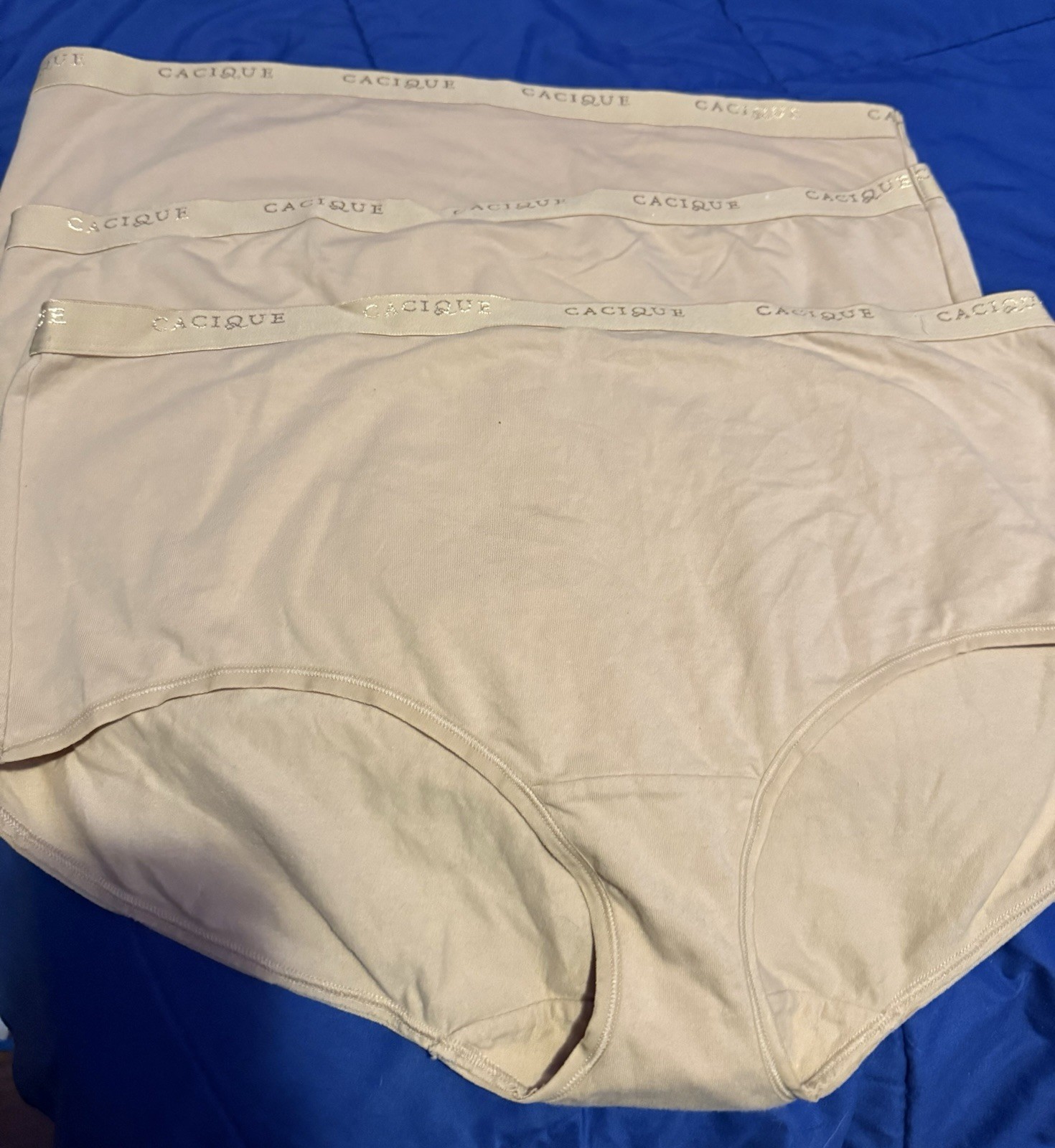 Lane Bryant Full Brief 22/24 Underwear 3 Pair
