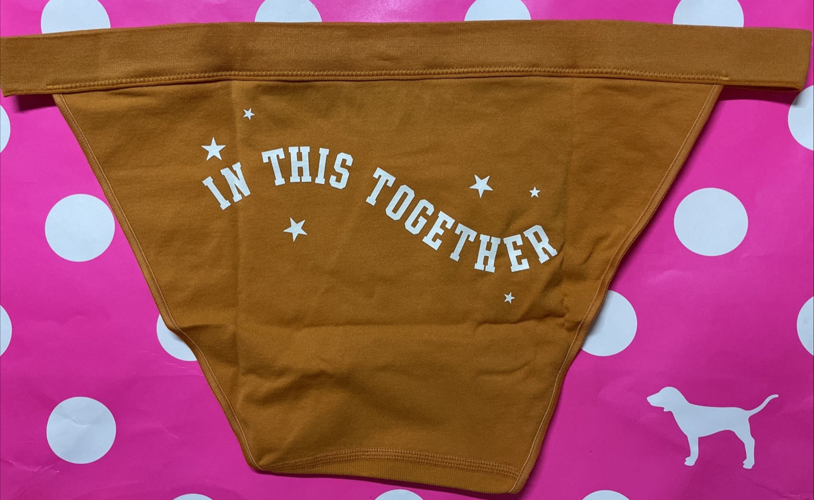2021 Victoria’s Secret PINK High Leg Seamless String Bikini Panties L Gold