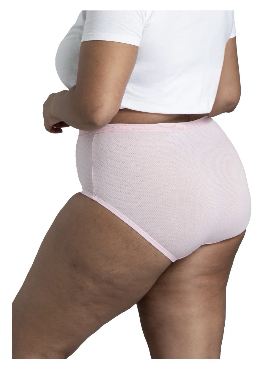 6-Pack FIT FOR ME Women’s Plus Size 13/5X Micro-Mesh Briefs Fruit of the Loom