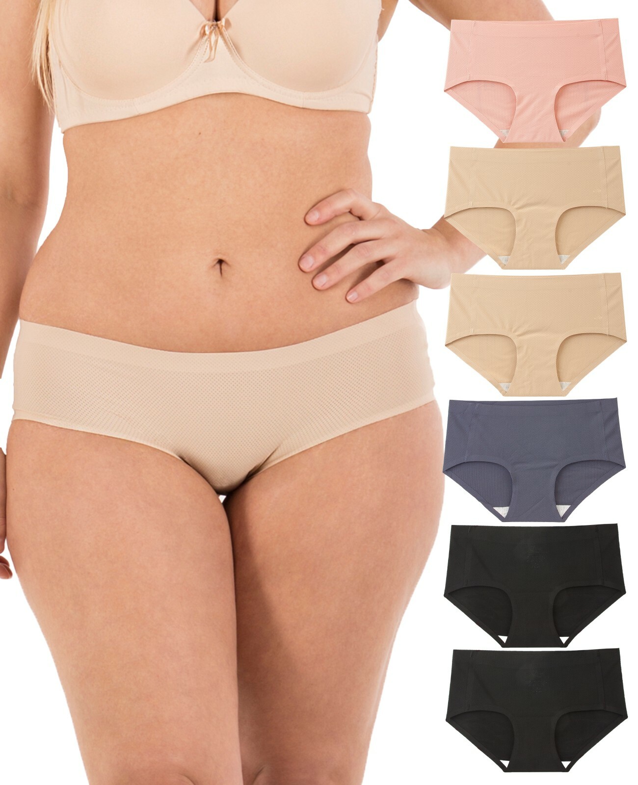 Barbra Seamless No-Show Womens Bikini Underwear Small to Plus Size Multi-Pack