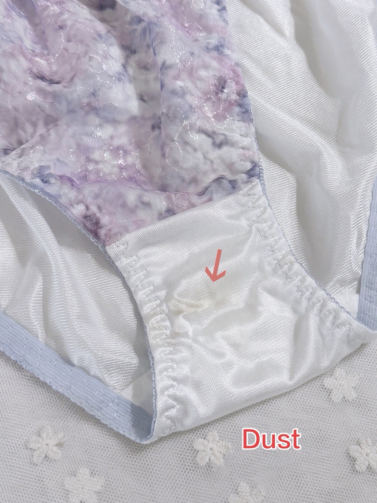Set Of 6 US-L/JP-3L Japanese Embroidery Bikini Glossy Tricot Nylon Panties