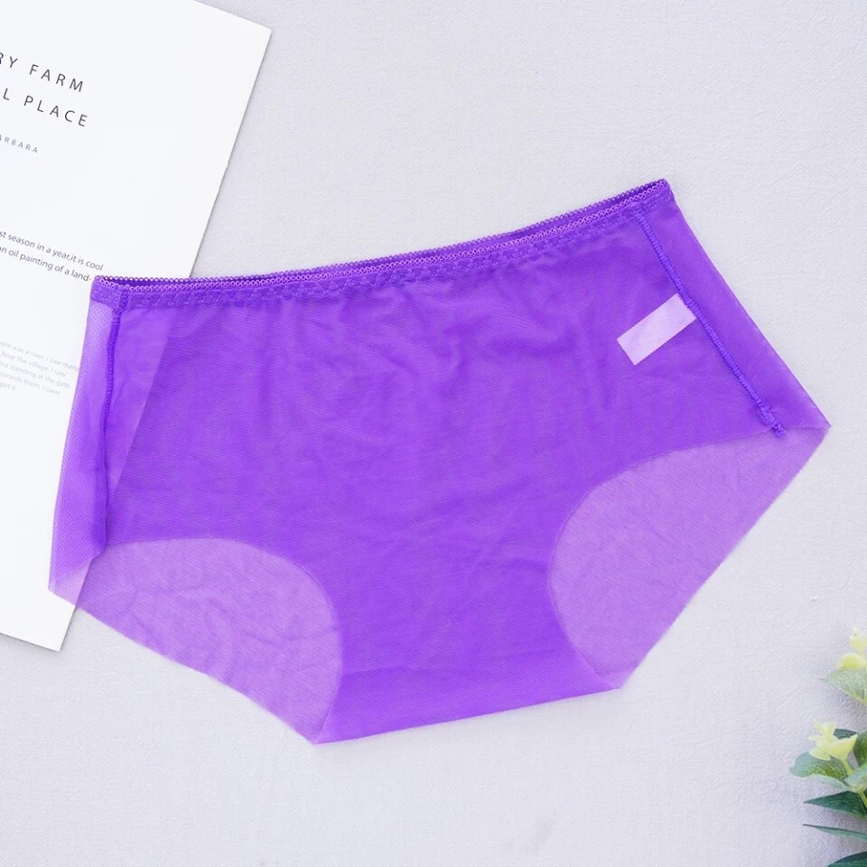 Sexy Purple Sheer S/M Panties (2 Pair) US Seller