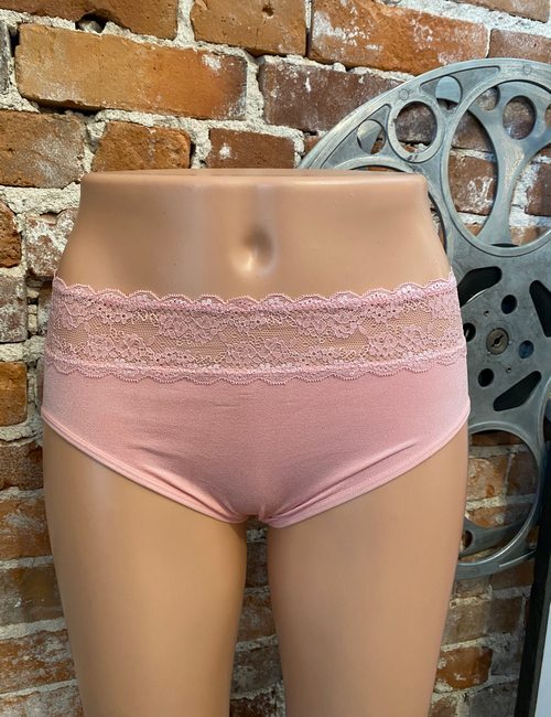 Breezies Rose Quartz Pink Seamless Comfort Hipster with Lace New Panty Brief