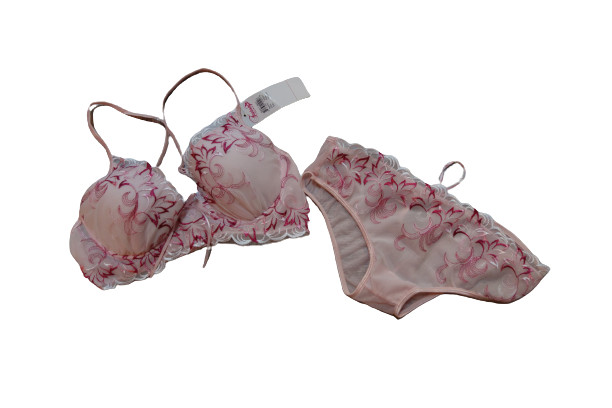 Fantasy Lingerie Bra & Hipster Panties Size M Embroidered Mesh Simply Sexy
