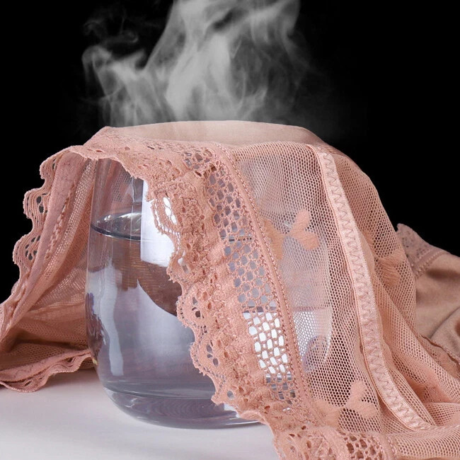 4 Pack Lot Sexy Womens Satin Panties Underwear High Waist Sheer Lace Lingeries