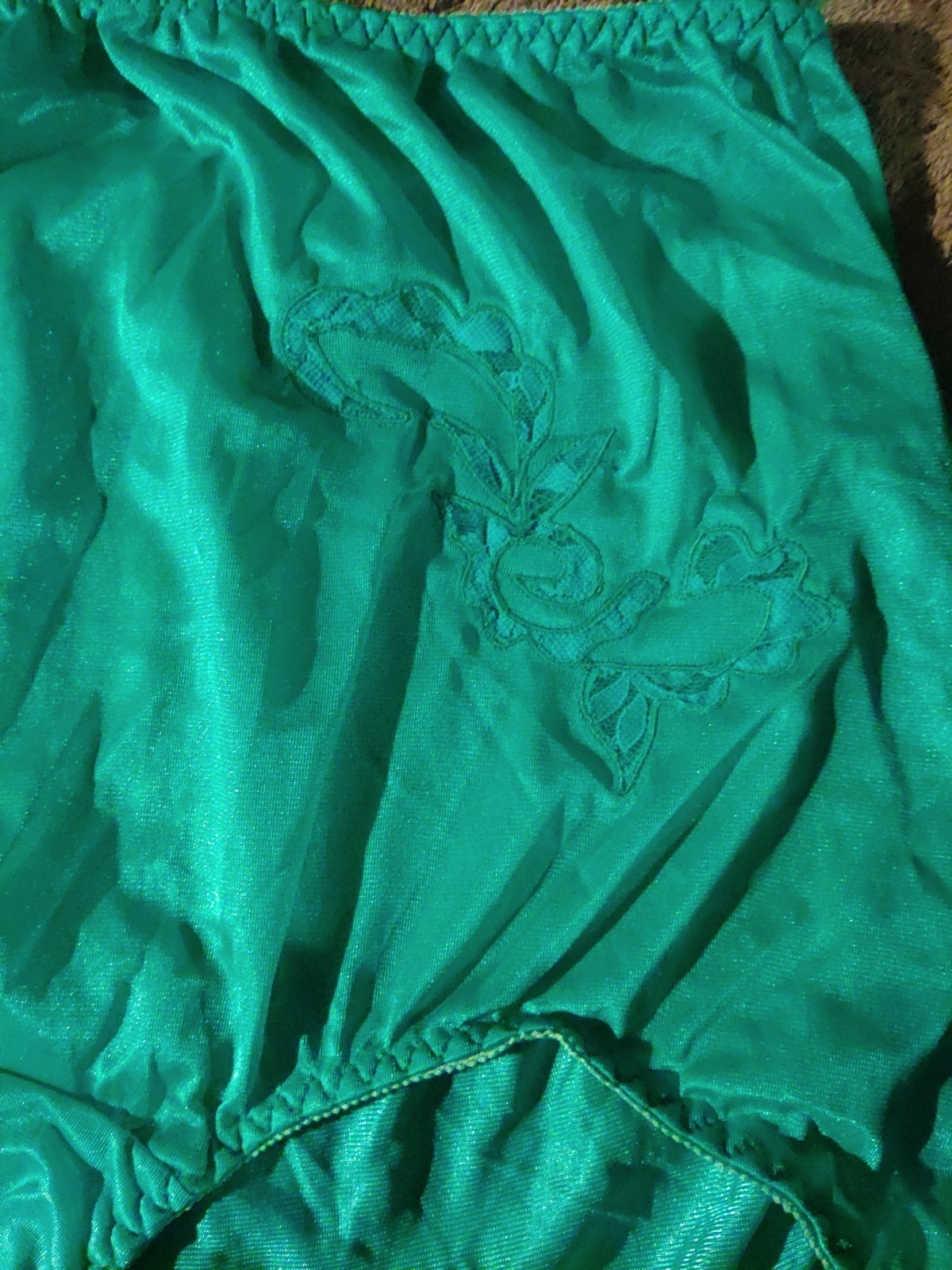 Ventura Nylon Brief Panties Decorative Applique Sz 12